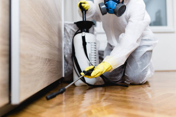Best Affordable Pest Control Services  in New Concord, OH
