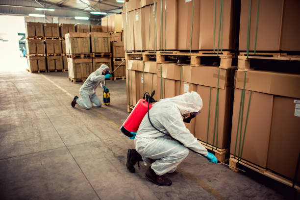 Best Ant Control Services  in New Concord, OH