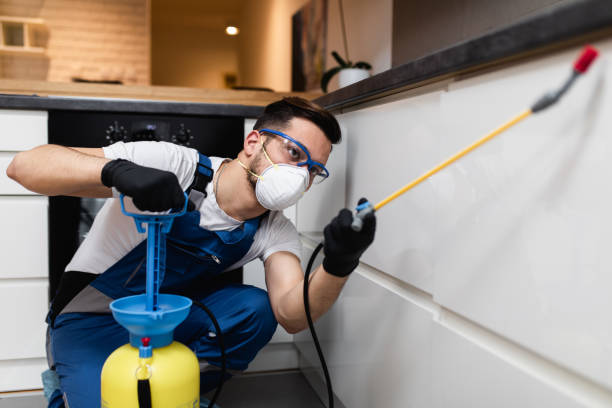 Best Cockroach Control Services  in New Concord, OH