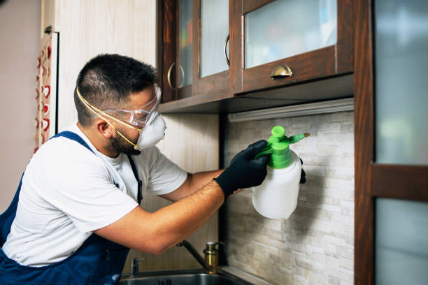  New Concord, OH Pest Control Pros