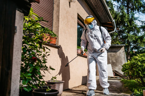Best Bed Bug Extermination  in New Concord, OH