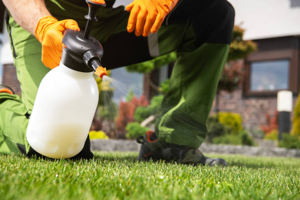 Best Pest Control for Restaurants  in New Concord, OH