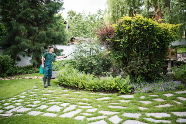 Best Pest Inspection Near Me  in New Concord, OH