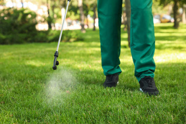 Best Pest Prevention Services  in New Concord, OH