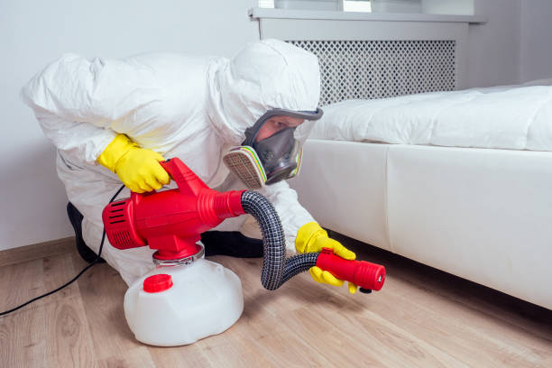 Best Wasp Removal Services  in New Concord, OH