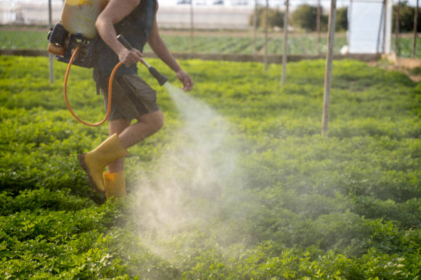 Best Best Pest Control Companies  in New Concord, OH