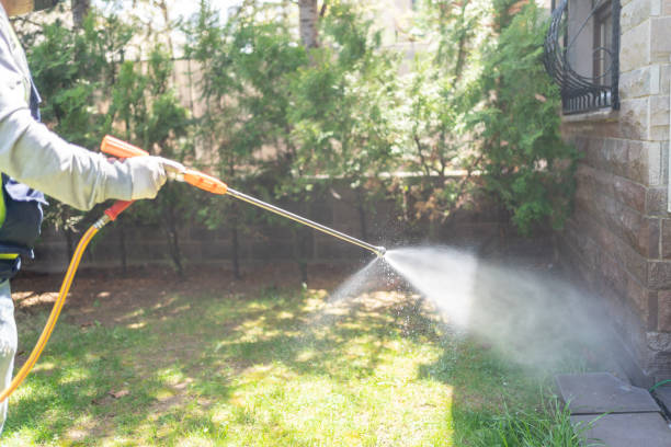 Best Local Pest Control Services  in New Concord, OH