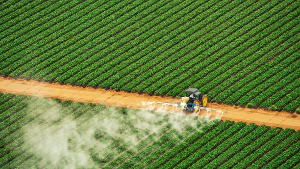 Best Commercial Pest Control Services  in New Concord, OH