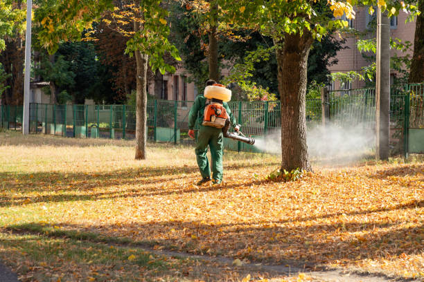 Best Affordable Pest Control Services  in New Concord, OH