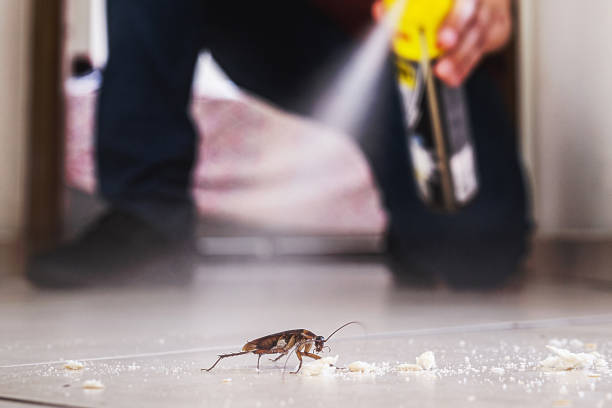 Best Wildlife Control Services  in New Concord, OH